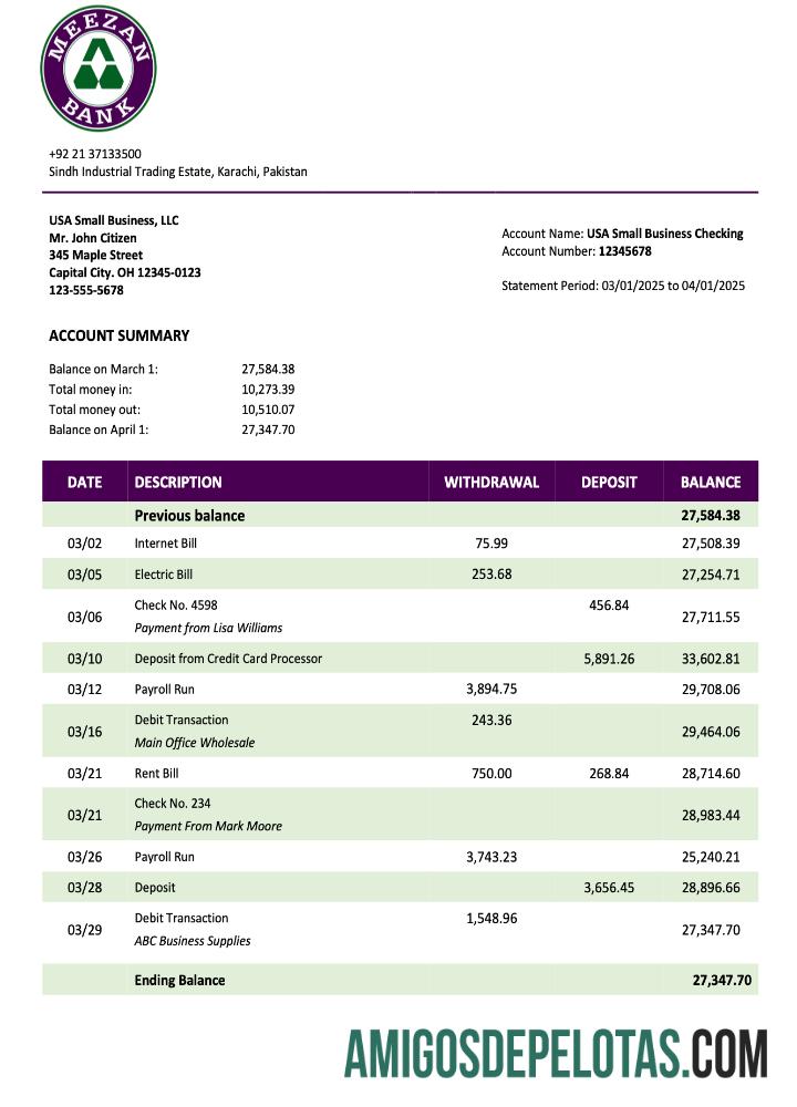 Baixável Paquistão Meezan Bank Organization Statement modelo Word e PDF